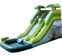 12 tropical slide